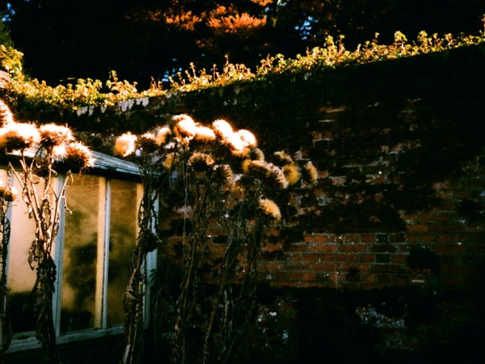 Photo Fireside wall lighting