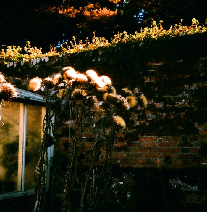 Photo Fireside wall lighting