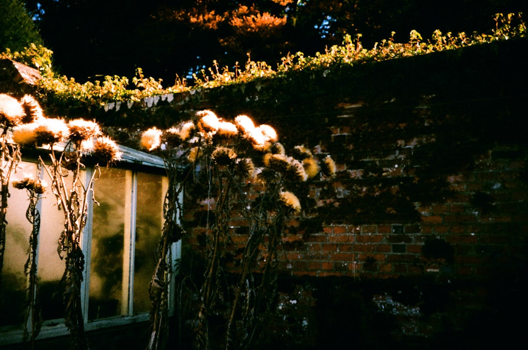 Photo Fireside wall lighting