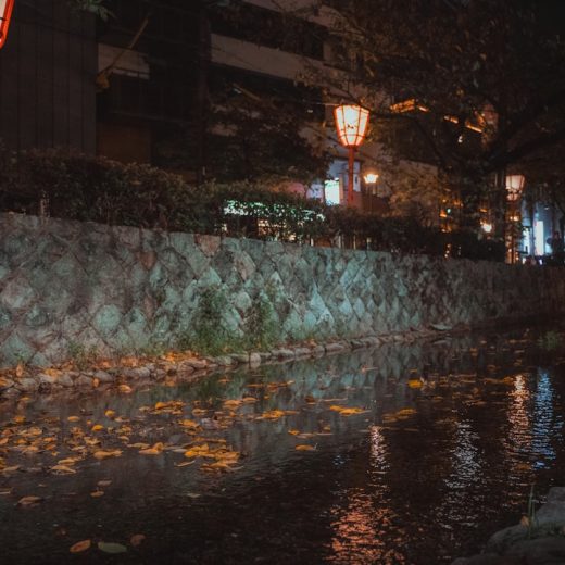 Photo waterproof LED flood light