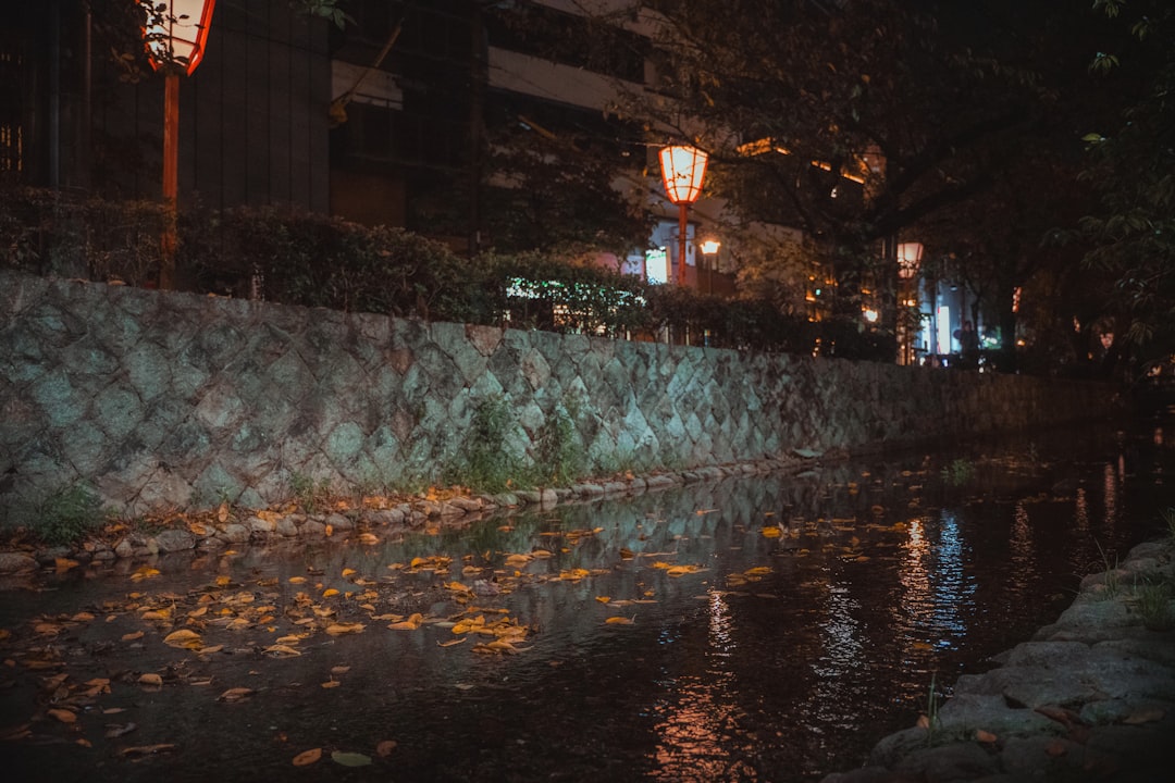 Photo waterproof LED flood light